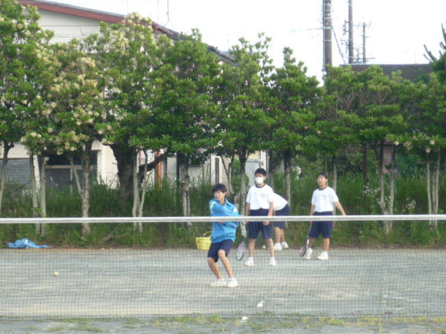 男子ソフトテニス部